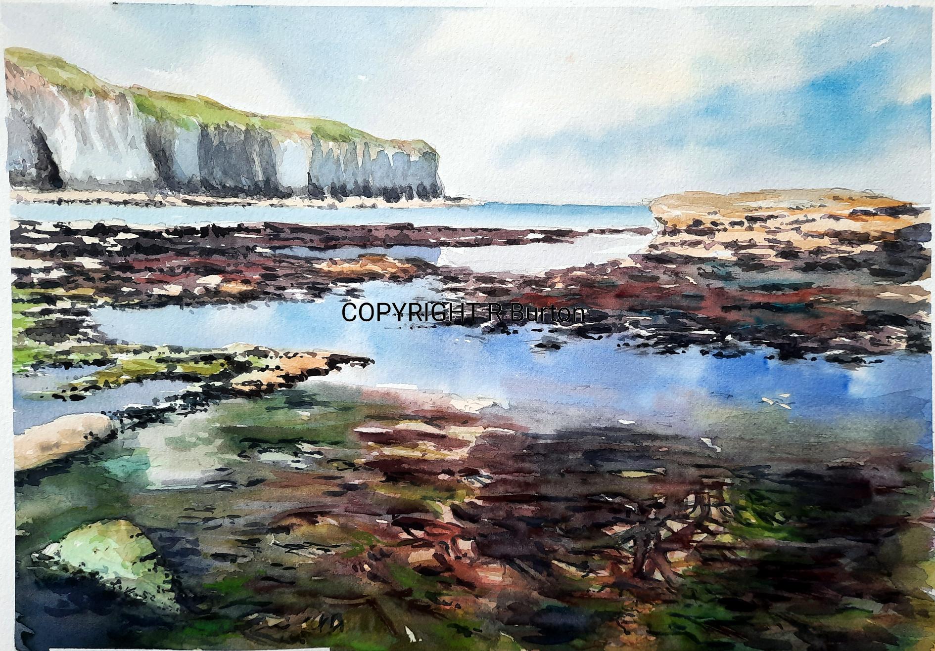 North Landing Rockpools